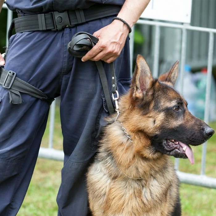 agent de sécurité Strasbourg