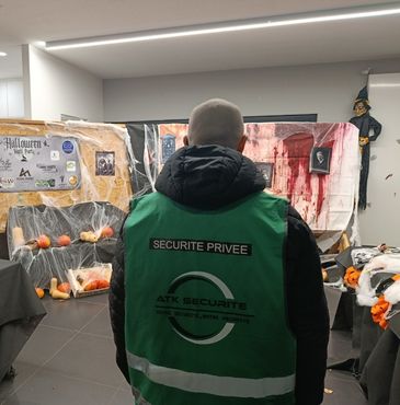 surveillance site entreprise alsace